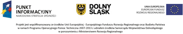 Logo projekt współfinansowany ze środków Unii Europejskiej - Punkt Informacyjny Narodowa Strategia Spójności