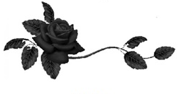 zdjęcie przedstawia różę koloru czarnego umieszczaną przy kondolencjach