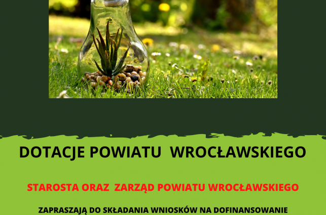 Informacja o dofinansowaniu. żarówka leżąca na trawie, wypełniona kamykami i zieloną rośliną.
