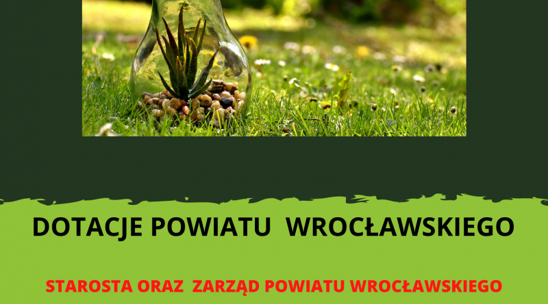 Informacja o dofinansowaniu. żarówka leżąca na trawie, wypełniona kamykami i zieloną rośliną.