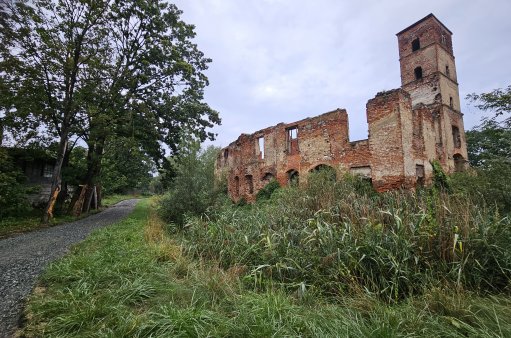 Aleja w sąsiedztwie ruin dawnego dworu nawodnego w parku w Smolcu